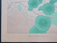 土屋楽山 木版画 洋草花譜 『Nasturtium(ナスターチューム)』