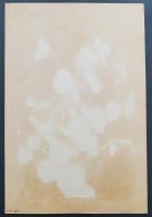 土屋楽山 木版画 洋草花譜 『Nasturtium(ナスターチューム)』