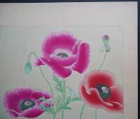 土屋楽山 木版画 洋草花譜 『Poppy(ポッピィ)』