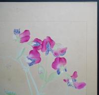 土屋楽山 木版画 洋草花譜 『Sweet Pea(スイートピイ)』