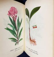 中文書 河北中草葯