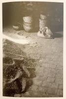 【フランス語洋書】 ジャン＝ルー・トラサール写真集 火の考古学 『Archéologie des feux』