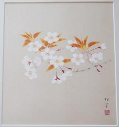 上村松篁 リトグラフ『山桜』限定300部