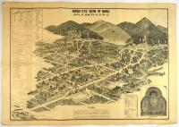 BIRD'S EYE VIEW OF NARA.