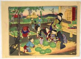 蒸せし葉を丸め日に晒す図　皇国製茶図会　第五号