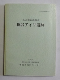 松山市道後城北遺跡群　祝谷アイリ遺跡