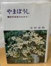 やまぼうし : 星野温泉のあゆみ
