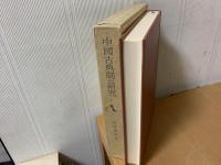 中国古典劇の研究