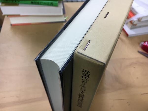近現代におけるモンゴル人農耕村落社会の形成(ボルジギン