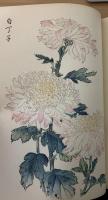 契花百菊