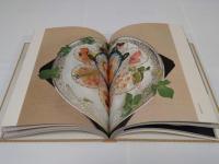 吉兆　本編・解説　全2冊