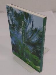 一盌からピ-スフルネスを