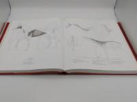 Anatomia Scuola Di Disegno (Anatomy Drawing School - In Italian) (Uomini Animali Anatomia Comparata (Human Anatomy; Animal; Compared))(伊)