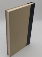 Critical Essays on Hawthorne's Short Stories (Critical Essays on American Literature)(英)