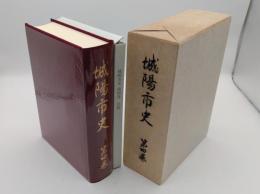城陽市史　第4巻　付図共