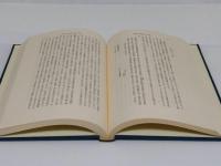 戦国法成立史論