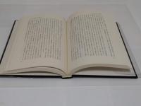 事的世界観への前哨　物象化論の認識論的　存在論的位相