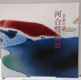 河合誓徳展　景象の譜