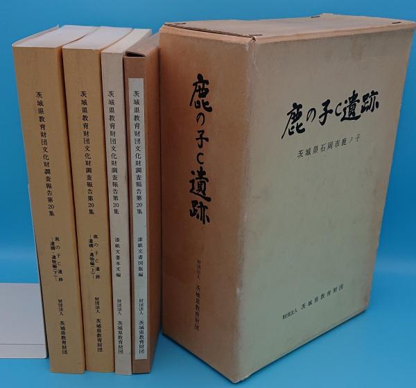 鹿の子C遺跡　茨城県教育財団文化財調査報告書　全４巻　発掘　漆紙文書　考古学