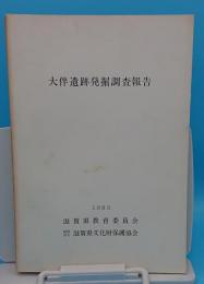 大伴遺跡発掘調査報告　1983