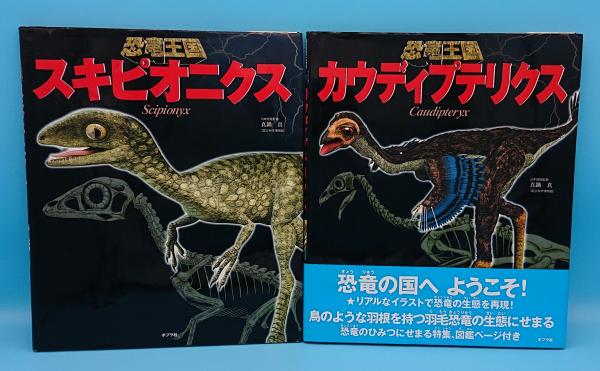 恐竜王国 全8冊 1 ティラノサウルス 2 ブラキオサウルス 3 トリケラトプス 4 ステゴサウルス 5 エドモントサウルス 6 デイノニクス 7 カウディプテリクス 8 スキピオニクス ファビオ マルコ ダラ ヴェッキア 真鍋真 日本語版監修 草木古書店 古本 中古本 恐竜王国 全8冊 1 ティラノサウルス 2 ブラキオサウルス 3 トリケラトプス 4 ステゴサウルス 5 エドモントサウルス 6 デイノニクス 7 カウディプテリクス 8 スキピオニクス ファビオ マルコ ダラ ヴェッキア 真鍋真 日本語版監修 草木古書店 古本 中古本