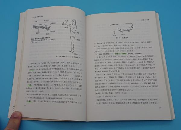 東洋医学見聞録 上巻 初心者でも再現性がある鍼灸治療の実際(西田皓一 