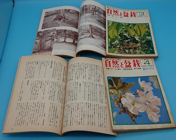 自然と盆栽 1～144号内134冊 / 草木古書店 / 古本、中古本、古