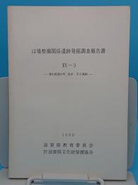 ほ場整備関係遺跡発掘調査報告書15-3　蒲生郡蒲生町　堂田・市子遺跡