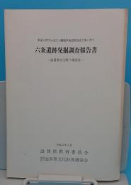 県道大津守山近江八幡線単独道路改良工事に伴う六条遺跡発掘調査報告書　滋賀県中主町六条所在