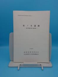 杉ノ木遺跡 蒲生郡蒲生町大塚所在「ほ場整備関係遺跡発掘調査報告書17-11」