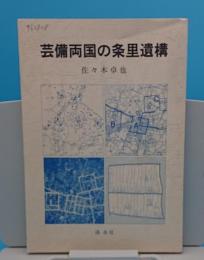 芸備両国の条里遺構