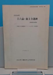 田原本町　十六面・薬王寺遺跡 　 国道24号線橿原バイパス建設に伴う遺跡本調査「奈良県遺跡調査概報1981年度別刷」