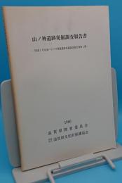 山ノ神遺跡発掘調査報告書　国道1号京滋バイパス関連遺跡報告書第2冊