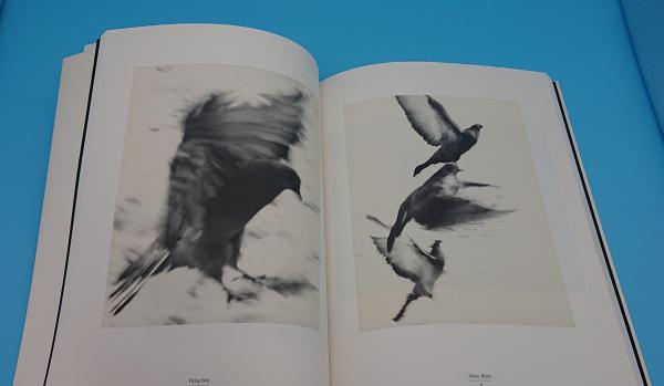 Y.アーネスト・サトウ写真集 Y.Ernest Satow selected photographs(Y 