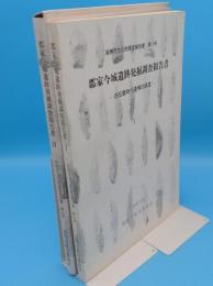 郡家今城遺跡発掘調査報告書　旧石時代遺構の調査1・2