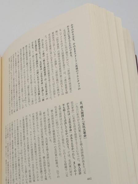 中国政治経済史論 毛沢東時代 (1949-1976)(胡鞍鋼/著 日中翻訳