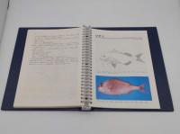 魚類解剖図鑑