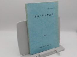 上山・ケゴヤ古墳 町道建設に伴う調査 「城崎町文化財調査報告書 第9集」