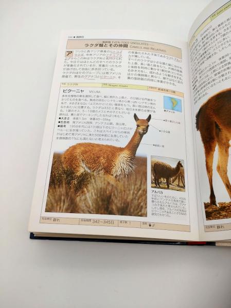 チェコの古い動物図鑑(1970年)/哺乳類図鑑 雰囲気◎/ 81JAOzgvOUL._UF350,350_QL80_.jpg