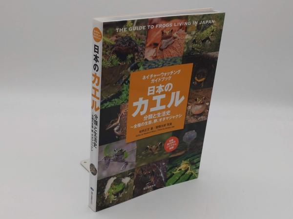 日本のカエル 分類と生活史  /誠文堂新光社/松井正文（単行本） 日本のカエル: 分類と生活史~全種の生態、卵、オタマジャクシ