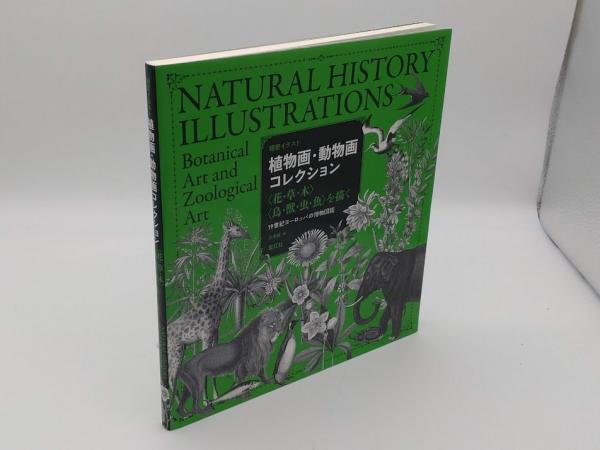 精密イラスト 植物画・動物画コレクション〈花・草・木〉〈鳥・獣・虫