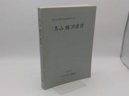 馬山縣洞遺跡「昌原大学校博物館学術調査報告第三冊」(韓文)