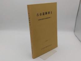 古市遺跡群2「羽曳野市埋蔵文化財調査報告書5」