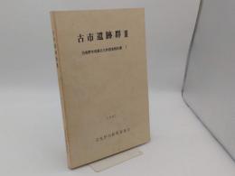 古市遺跡群3「羽曳野市埋蔵文化財調査報告書7」