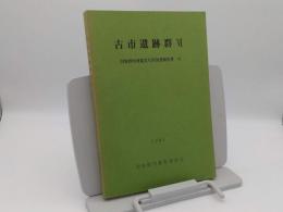 古市遺跡群6「羽曳野市埋蔵文化財調査報告書10」