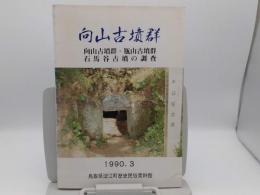 向山古墳群　向山古墳群・瓶山古墳群 石馬谷古墳の調査