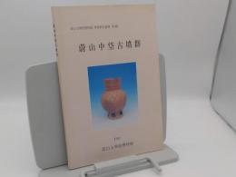 蔚山中垈古墳群「蔚山大学校博物館学術研究叢書第1輯」(韓文)