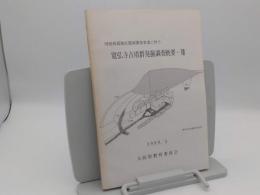 河南西部地区農地開発事業に伴う寛弘寺遺跡発掘調査概要8