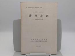 近畿自動車道和歌山線建設に伴う滑瀬遺跡　発掘調査報告書「大阪府埋蔵文化財協会調査報告書 第10輯」