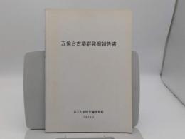 五倫台古墳群発掘報告書(韓文)